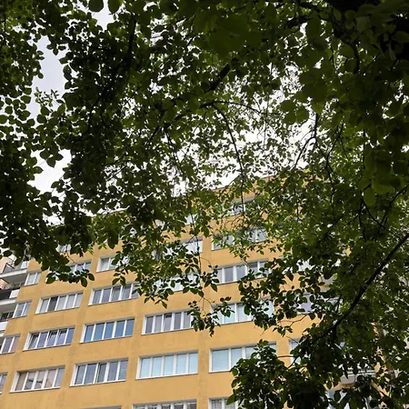 Nest Next To The Palace Of Culture * Warsaw