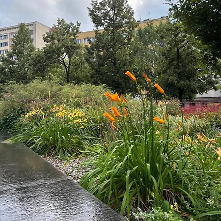 Nest Next To The Palace Of Culture Apartment