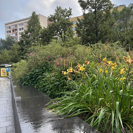 Nest Next To The Palace Of Culture