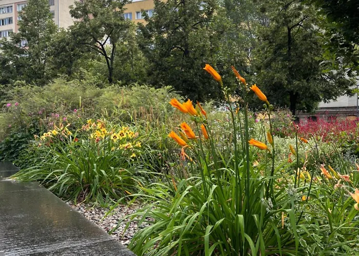 Nest Next To The Palace Of Culture Lägenhet