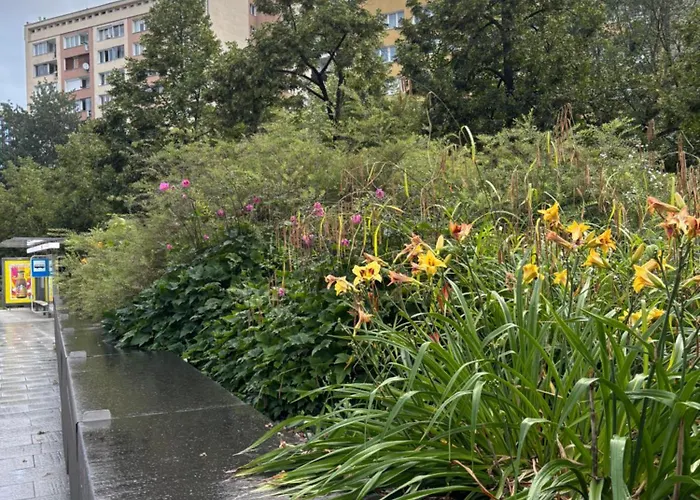 Nest Next To The Palace Of Culture